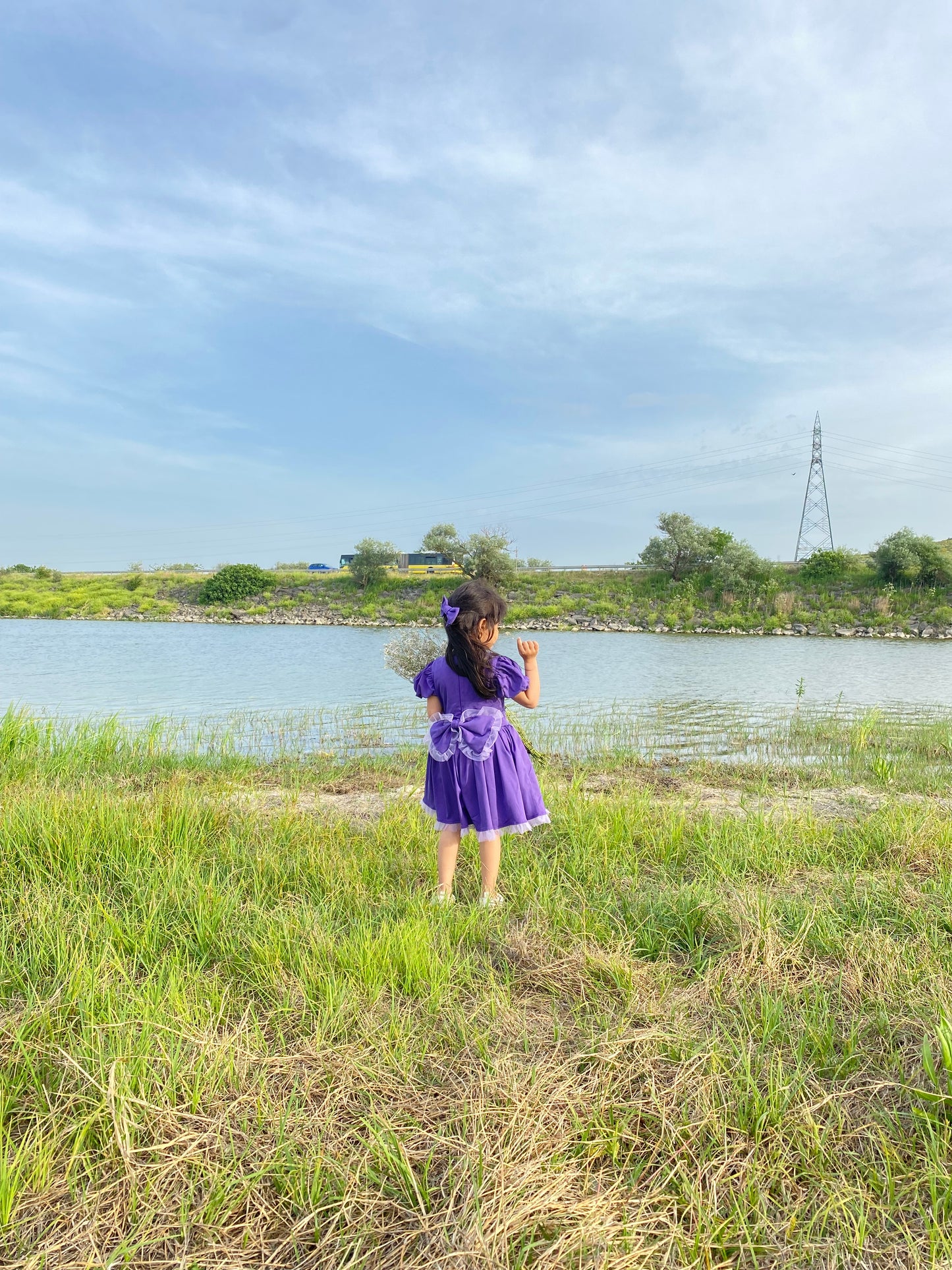 Atelier Des Reves Short Sleeve Purple Bow Dress